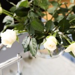 EileenGreyFlowers
